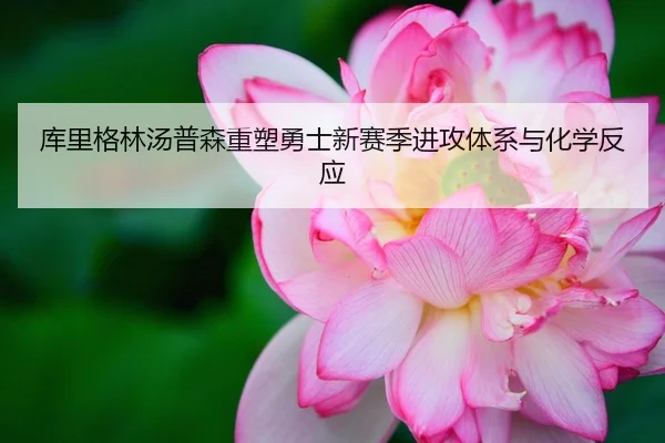 库里格林汤普森重塑勇士新赛季进攻体系与化学反应