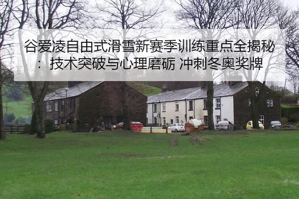 谷爱凌自由式滑雪新赛季训练重点全揭秘：技术突破与心理磨砺 冲刺冬奥奖牌