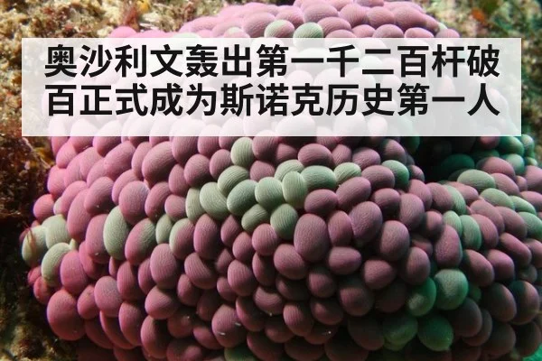 奥沙利文轰出第一千二百杆破百正式成为斯诺克历史第一人